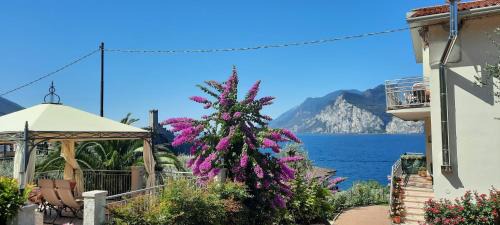 Malcesine Apartment | Appartamenti Villa Eden