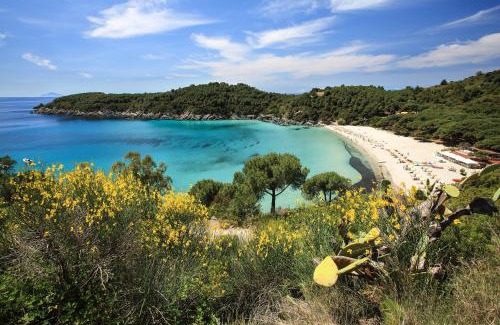 Fetovaia Apartment | Appartamento Marea - La Tua Oasi sul Mare by HelloElba