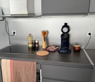 Saint-Orens-de-Gameville Apartment | Appartement climatisé Saint Orens
