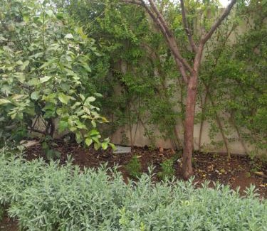 Ifrane Apartment | Apparteme 1