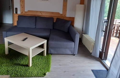 Falkau Apartment | Appartement 5, 55qm, Balkon, 2 Schlafzimmer, max. 6 Personen