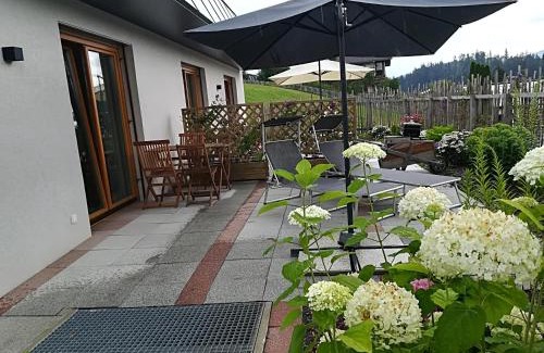 Going am Wilden Kaiser Apartment | Appartement Viktoria