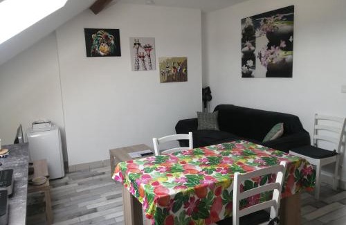 Doue-la-Fontaine Apartment | Appartement climatisé avec parking privé gratuit