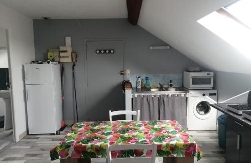Doue-la-Fontaine Apartment | Appartement climatisé avec parking privé gratuit
