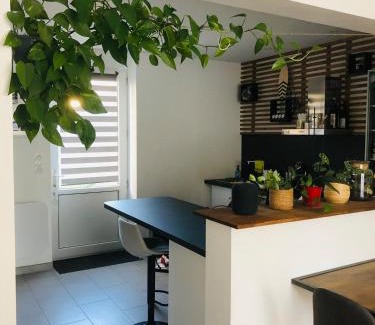 Parame Apartment | Appartement cosy à Saint-Malo