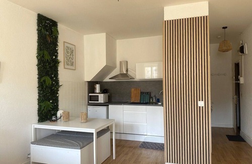 Auch Apartment | Appartement cosy au coeur de la ville d'Auch