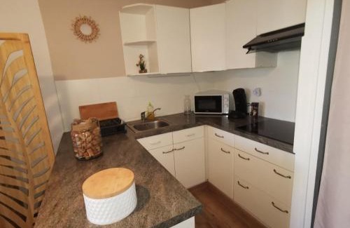 Le Barcares Apartment | Appartement Cosy sur la Presqu'île de Cap Coudalere avec terrasse, aire de jeux d'enfants, parking