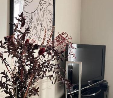 Saint-Georges-des-Groseillers Apartment | Appartement cosy tout équipé et parking couvert privé aux portes de Flers