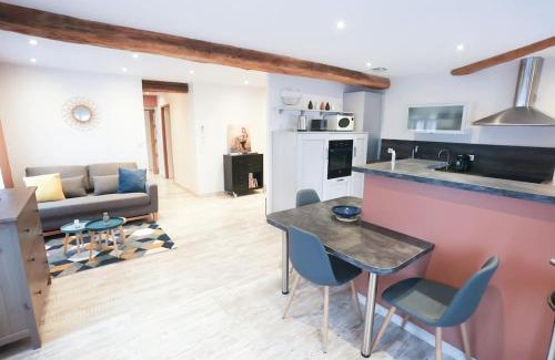 Saint-Just-la-Pendue Apartment | Appartement chaleureux cosy et climatisé Karine hospitality