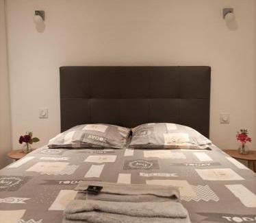 Saint-Maixent-l'Ecole Apartment | Appartement calme
