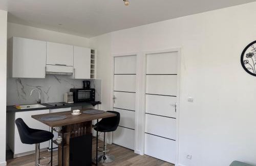 Villeneuve-sur-Bellot Apartment | Appartement Meli