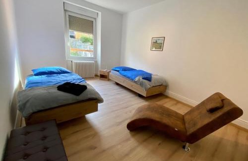 Belfort Apartment | Appartement Le lion