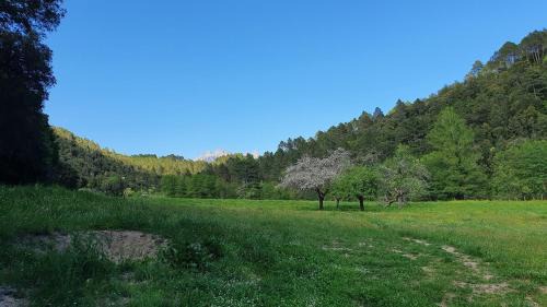 Levie Apartment | Appartement neuf avec extérieur de plein pieds