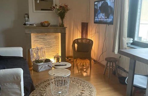 Le Marais House | Appartement privatif cozy Euratechnologies