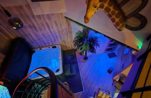 Solesmes Apartment | Appartement SPA Safari