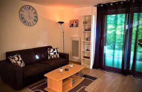 Klingenthal Apartment | Appartement studio