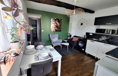 Vitre Apartment | Appartement T2 "JUNGLE" Centre Ville de VITRÉ au calme coté cour