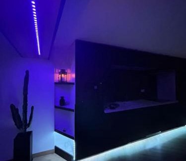 Macon Apartment | Appartement vue Saône et Lune