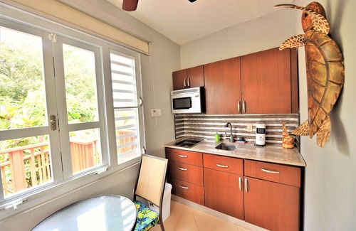 Aguadilla Apartment | Apt #1 studio. Sleeps 6. Relax & have fun in this peaceful place. Pool, jacuzzi.