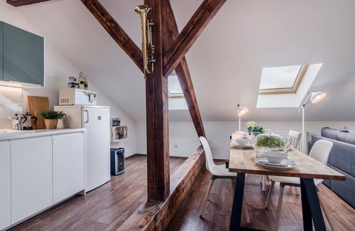 Liben Apartment | APT with garden Prague by Michal&Friends