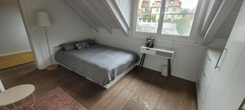 Nussbaumen Apartment | Aquae Helveticae