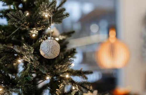 Rovaniemi Apartment | Arctic Juniper City Villa