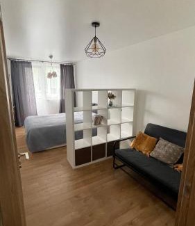 Panevezys Apartment | Arena apartment