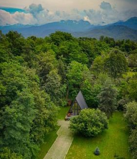 Avrig House | Aret House