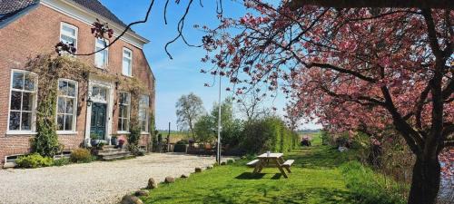Thesinge Bed & Breakfast | Ark van Thesinge