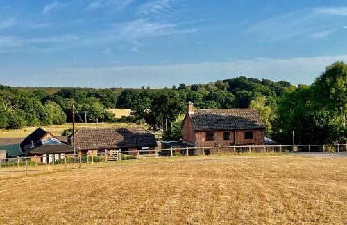 New Forest District House | Arniss New Forest