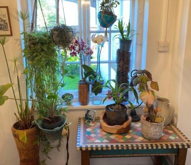 Llanvair Kilgeddin Bed & Breakfast | Art House B & B