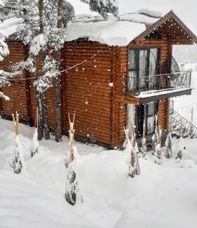 Jermuk Ski Chalet | Arte Jermuk Lux Cottage