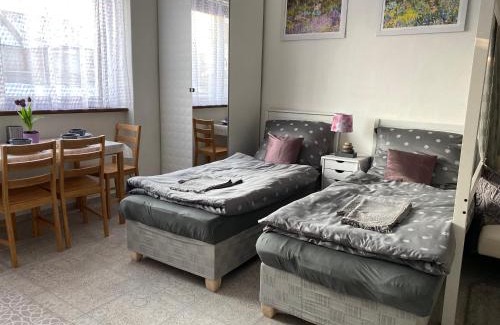 Plzen 2-Slovany Apartment | ARTep apartment