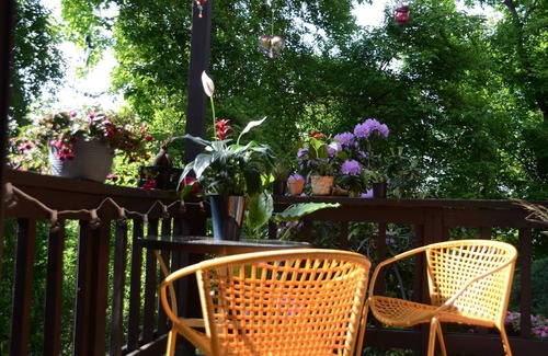 Vernon Condo | Artist Retreat 2min Walk-Mineral Spa*Golf*SkiLift