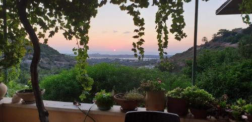Ein Hod Apartment | ARTSEA Studio Apartment with sea view