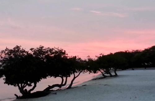 Oranjestad Hotel | Aruba Surfside Marina