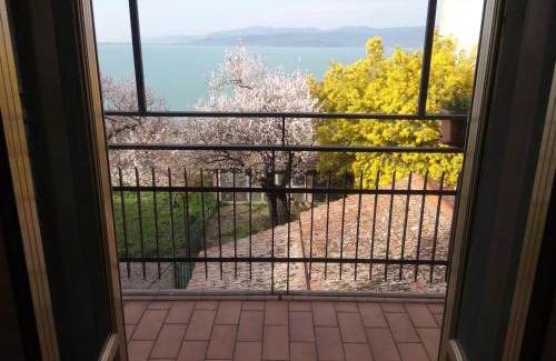 Contrada Castello Apartment | Ascanio Appartamenti