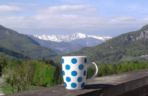 Bad Goisern Apartment | Ski & Sun, Scenic & Peaceful Apartment In Upper Austrian Alps, Salzkammergut.