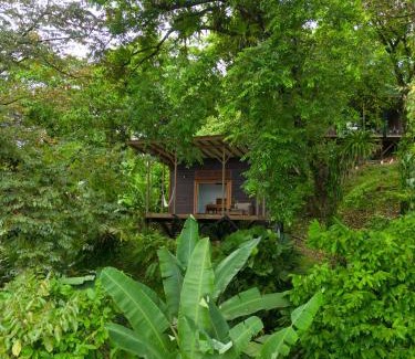 Isla Bastimentos Cabin | Ataraxia