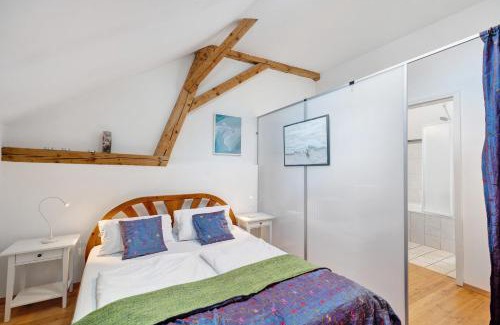 Vogtsburg Apartment | Atelierblick im Winzerort