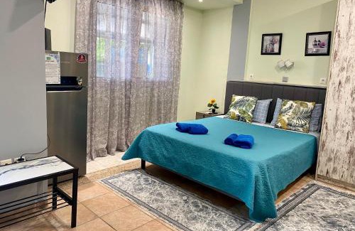Dafni Apartment | Athens Victoria's studio