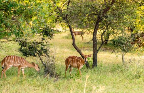 Bela-Bela Resort | ATKV Klein-Kariba
