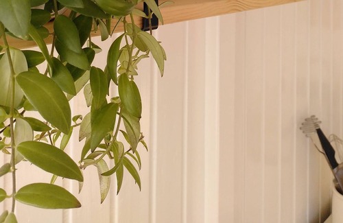 Menaldum Cottage | Atmospheric tiny house with private garden