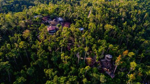 Puerto Princesa Hotel | Atremaru Jungle Retreat