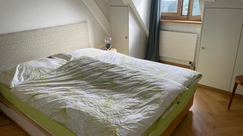 Jouxtens-Mezery Apartment | Attic Apartement - Penthouse 2 Bedrooms