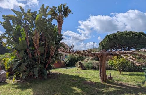 Vico Apartment | Au Châtaignier Corse