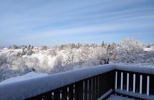 Haselbourg Ski Chalet | Au Chalet Bain Nordique neuf indépendant calme assuré