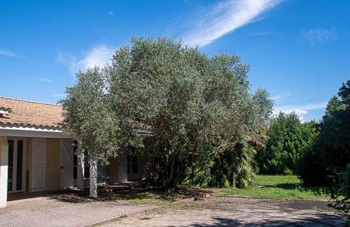 Ordonnac Bed & Breakfast | Au détour des vignes