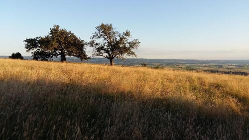Gillonnay Bed & Breakfast | Au dessus de Parady