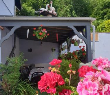 Klingenthal House | Au nid de la foret